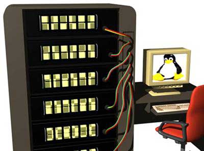 近年来，从Windows向Linux迁移的服务器数量占了37%，而从各种Unix版本向Linux迁移的服务器数量占了31%。