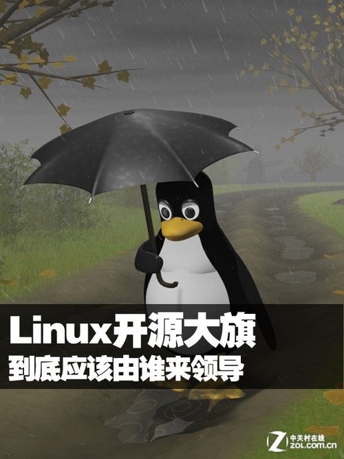 Linux开源大旗 到底应该由谁来领导 