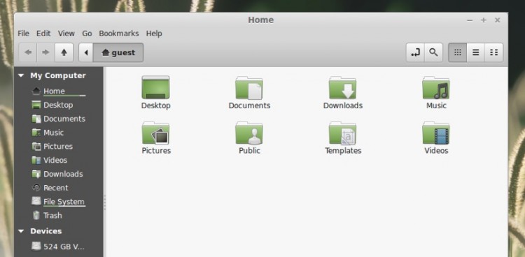 Some say Nemo is the best file manager for Linux