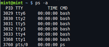 Output of "ps -a" command