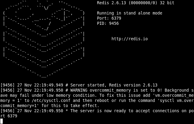 Starting Redis Server