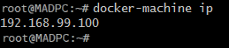 Docker IP 地址