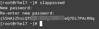 设置 LDAP 管理密码