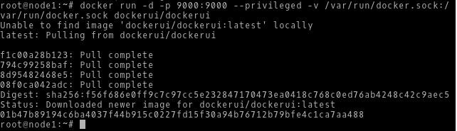 Starting DockerUI Container