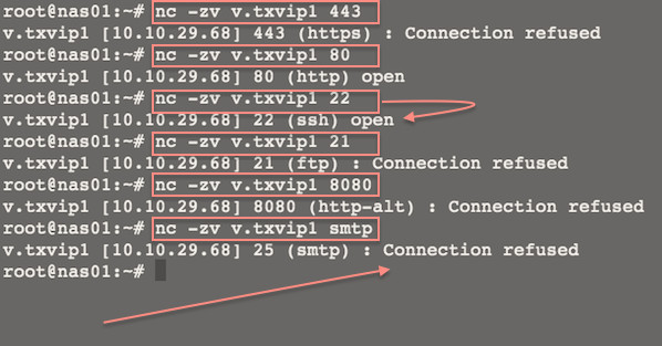 Fig.01: Linux/Unix: Use Netcat to Establish and Test TCP and UDP Connections on a Server