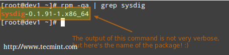 Check sysdig Package