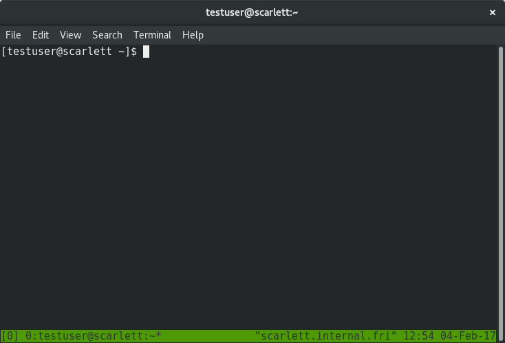 Start of tmux session