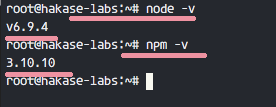 检查 node.js 版本