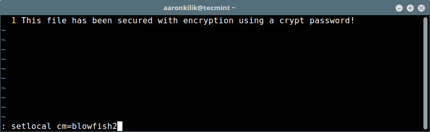 Set Strong Encryption on Vim File