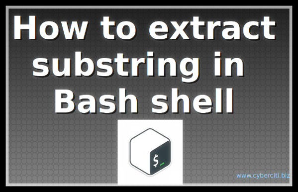 How to Extract substring in Bash Shell on Linux or Unix