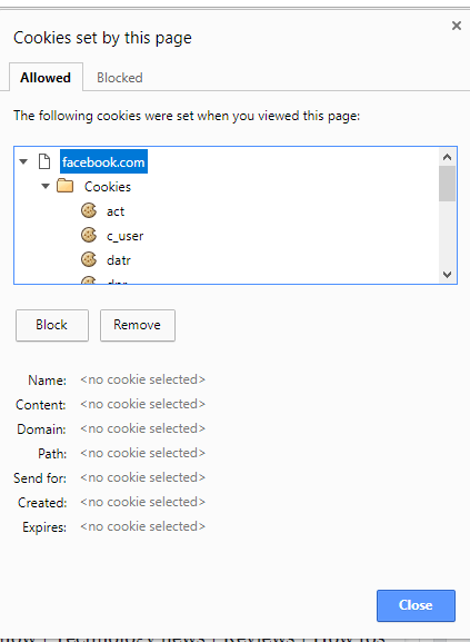 facebook cookies in web browser