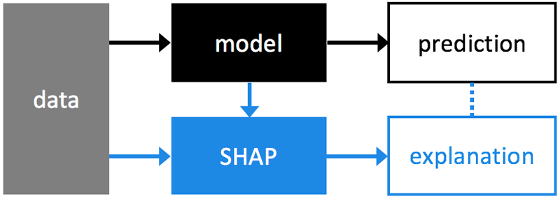 Where SHAP fits into the data analysis process
