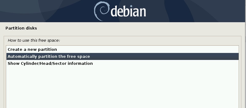 自动为空余空间分区-Debain10