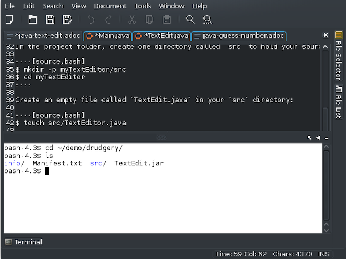 Medit terminal showing examples of Bash script in editor