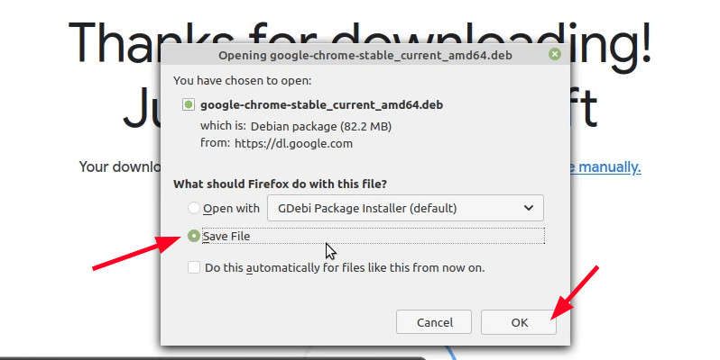 Save the deb file
