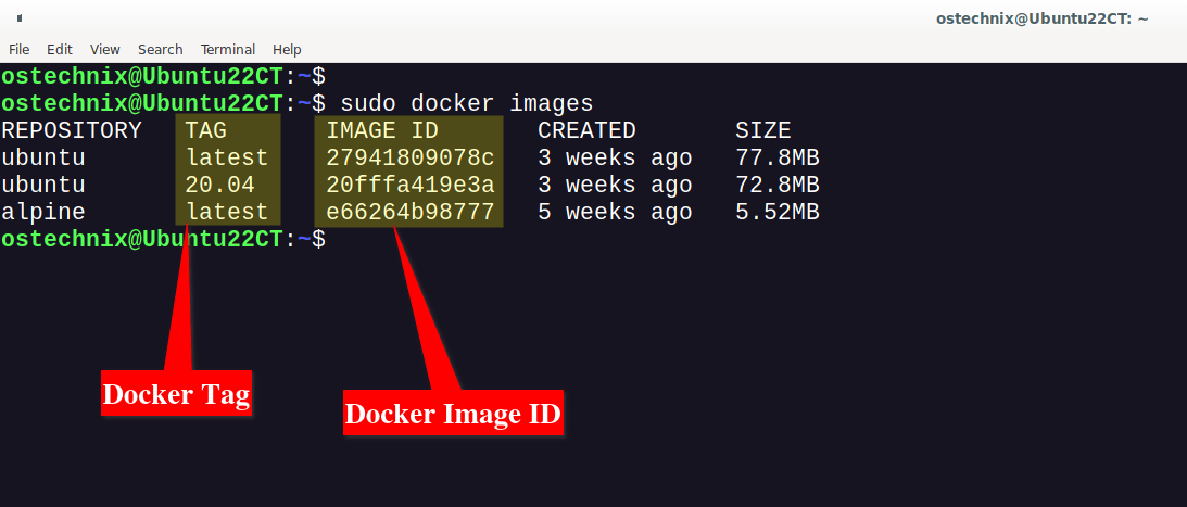 Docker Image Tag and ID