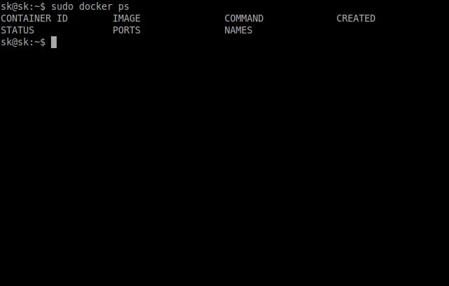 Show running docker containers