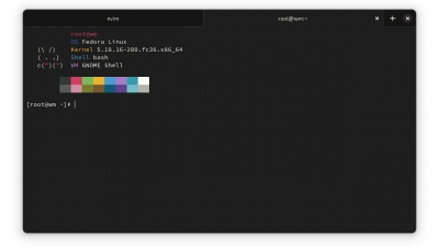 Blackbox：极简主义 Linux 用户的美观终端