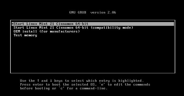 图 10：Linux Mint GRUB 菜单启动安装