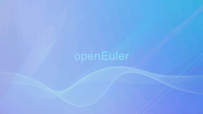 报告显示，openEuler 引发中国服务器操作系统发展从“量”变到“质”变