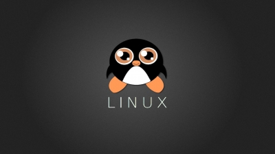 12 个对新手最重要的 Linux 命令