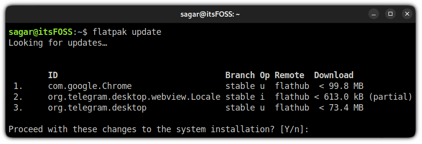update flatpak packages in linux