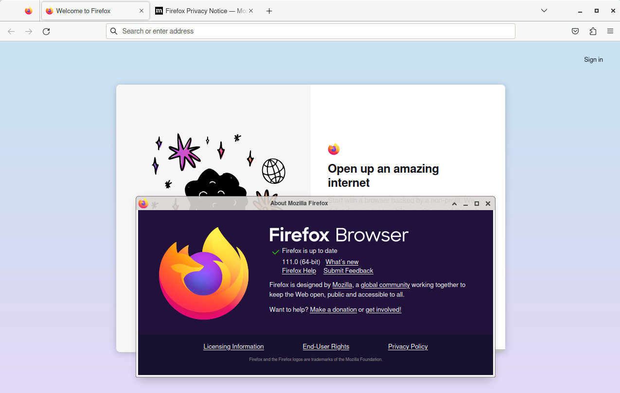 在 Linux 上运行的 Firefox 111