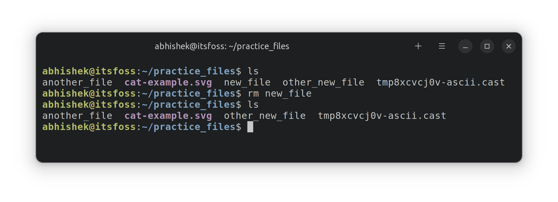 Removing files in Linux terminal