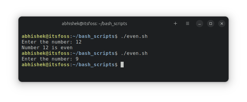 Running a script with if statement example in bash