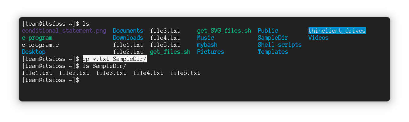 使用通配符扩展复制多个文件，比如所有 .txt 后缀的文件